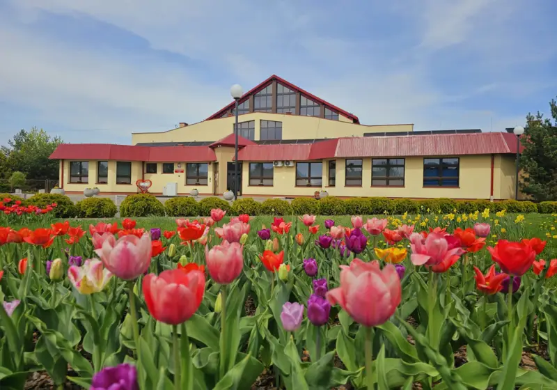 Rozwijaj pasje w naszej szkole!