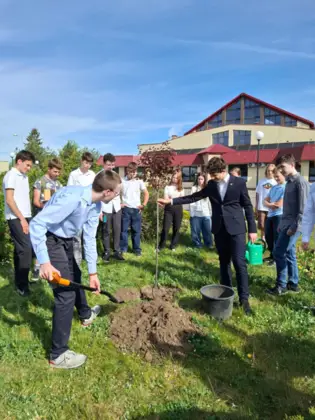 Drzewo Absolwentów