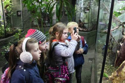 Wycieczka 2a i 2b do zoo w Opolu