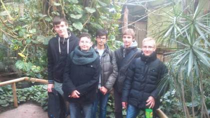 Wodni mieszkańcy Czarnego Lądu.