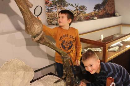 Muzeum Paleontologiczne w Lisowicach