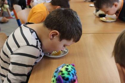 Dzień Pluszowego Misia