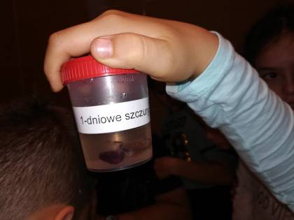 Wycieczka klas 3a i 3b na Uniwersytet Śląski