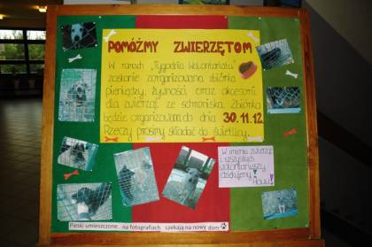 'Pomoc dla schroniska'