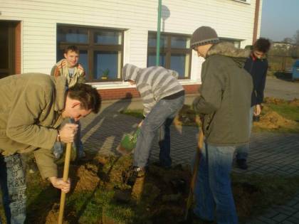 Zazielenienie terenu szkoły