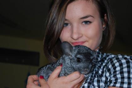 Mini wystawa zwierząt