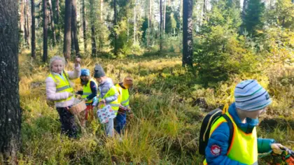 Wycieczka klasy 3b do lasu – grzybobranie pełne wrażeń