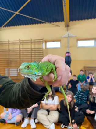 „Życie i hodowla gadów”