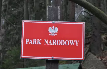 Konkurs plastyczny