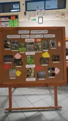 Szkolny Konkurs Fotograficzny 'Zwierzęta małe i duże ... w naturze' - rozstrzygnięty