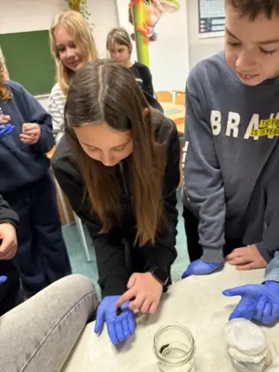 Fascynująca lekcja biologii w 6b: Pijawki w medycynie